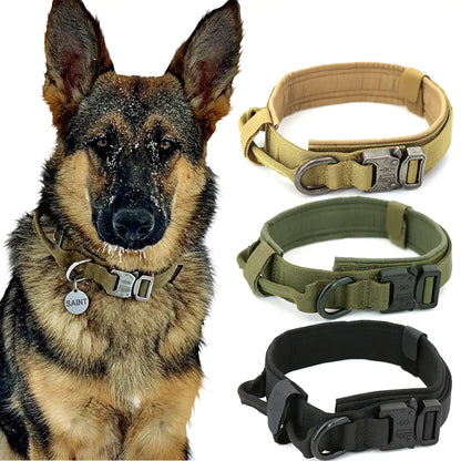 German Shepherd wearing a tan dog collar with a silver ID tag, shown next to three additional dog collars in tan, olive green, and black on a white background.