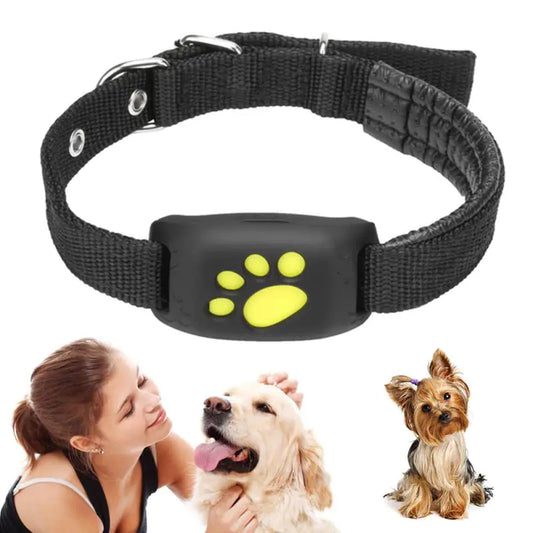 Black dog collar with a yellow paw print on a white background, featuring a woman and two dogs.