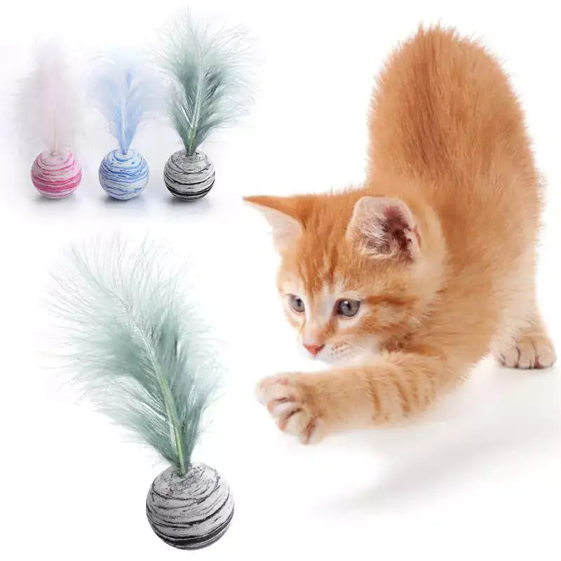 Cat playing with a feather toy on a white background